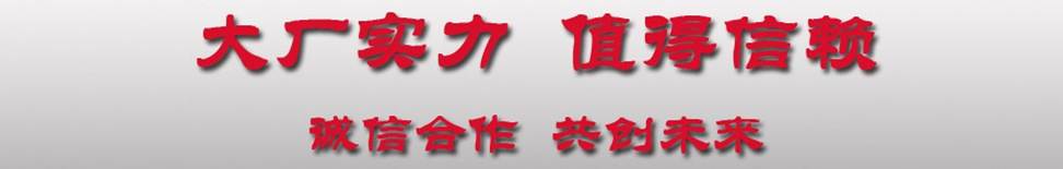 大廠家實力